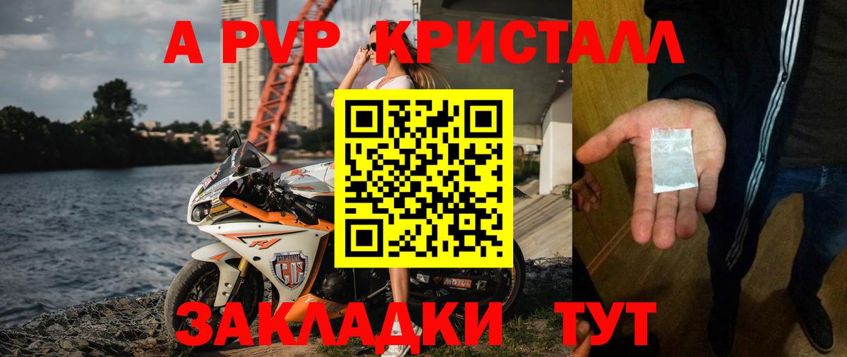 Альфа ПВП СК Сунжа