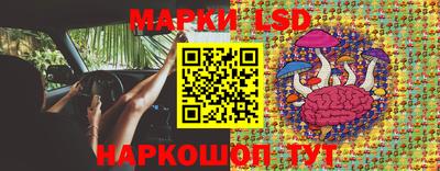ALPHA PVP Новодвинск